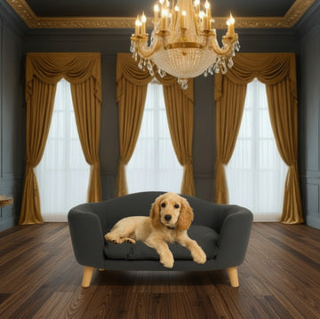 Marbelle Sofa Dog Bed