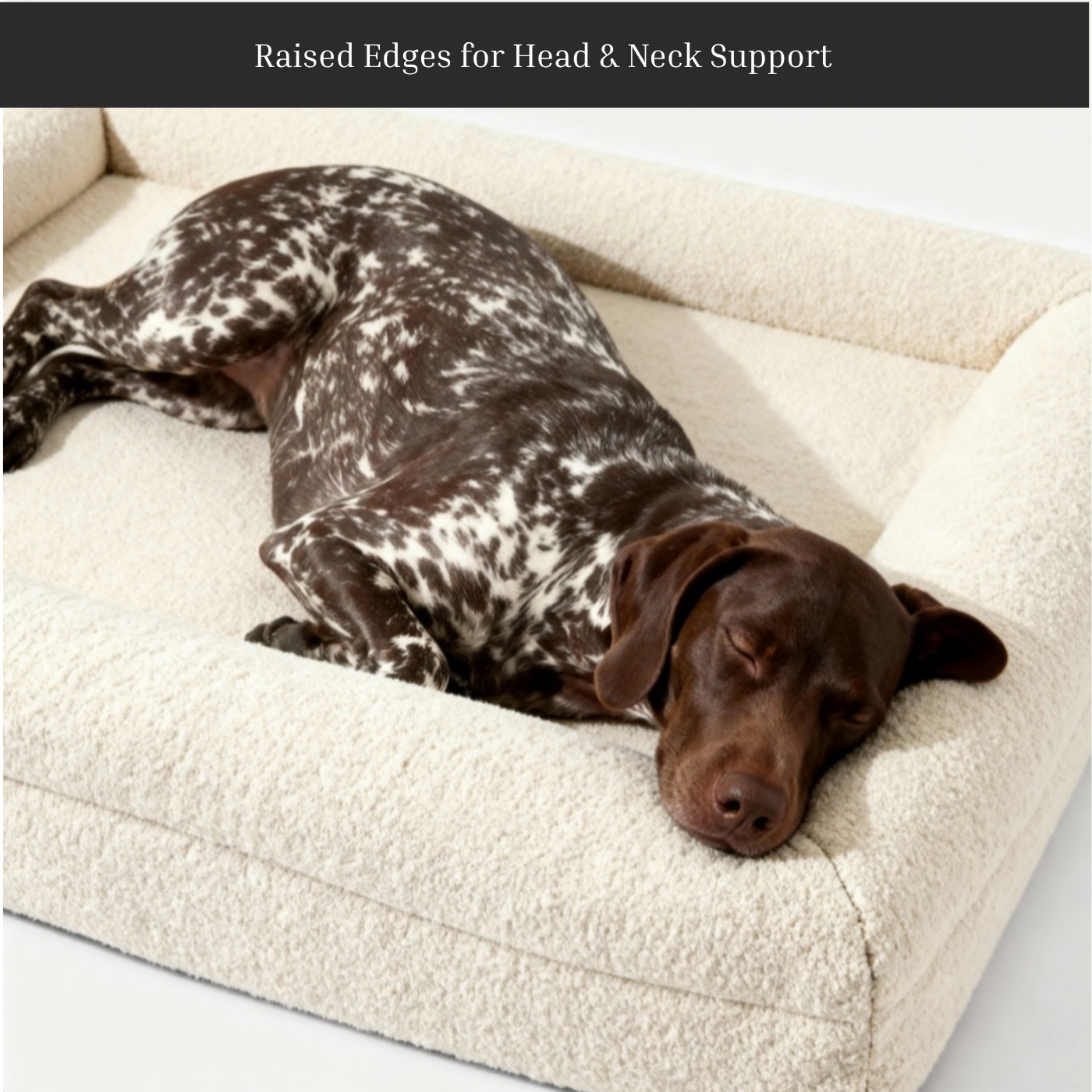 Barkshire Pet Lounger